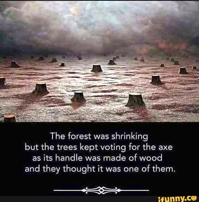The forest was
shrinking
but the trees kept voting for the axe
as its handle was made of wood
and they thought it was one
of them.