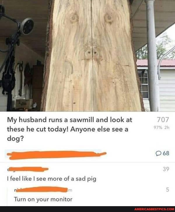 My husband runs a sawmill and look at these he cut today! Anyone else see a dog?
feel like I see more of a sad pig