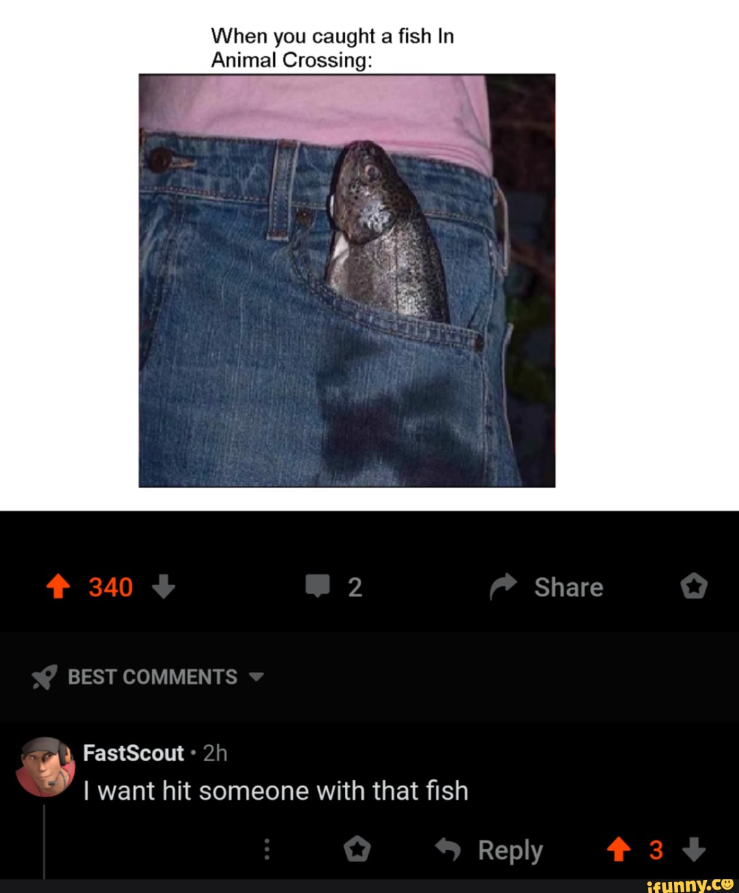 When you caught a fish In
Animal Crossing:
I want hit someone with that fish