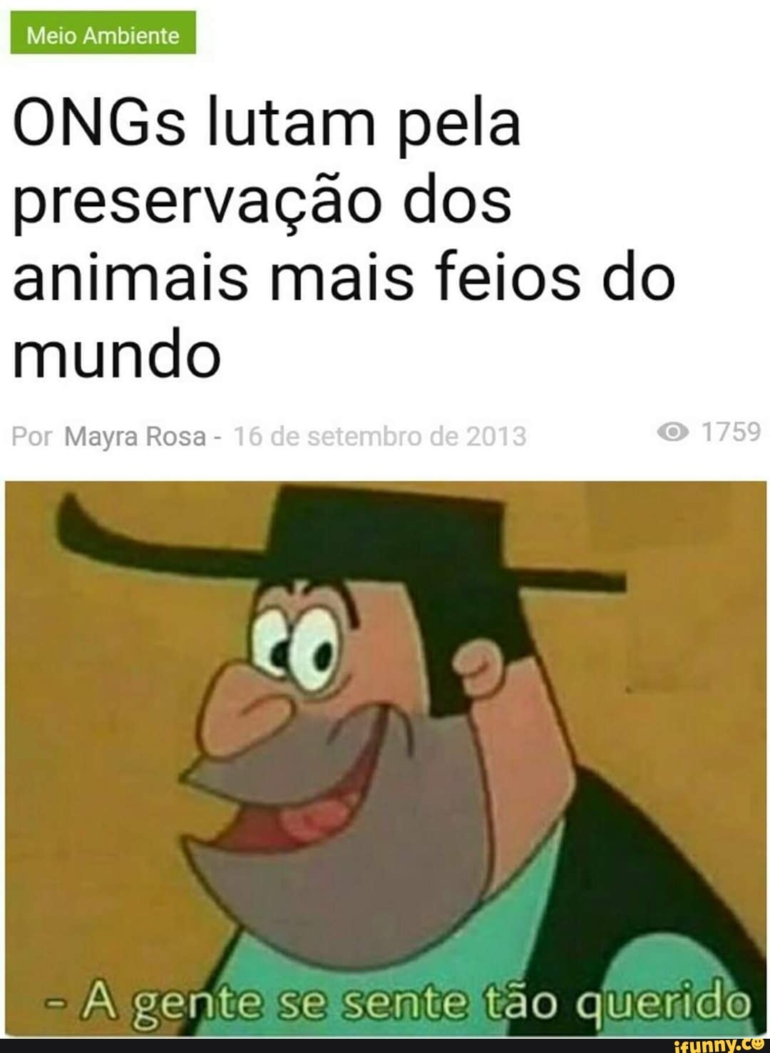 ONGs lutam pela
preservação dos
animais mais feios do
mundo
Mayra Rosa