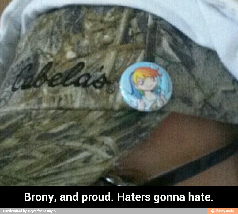 Brony, and proud. Haters gonna hate. - Brony, and proud. Haters gonna hate.