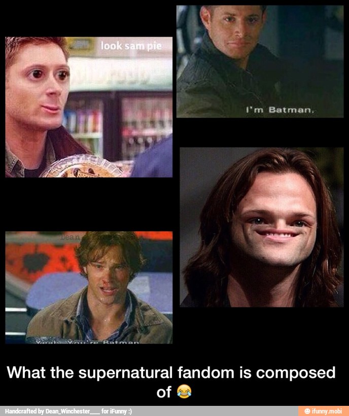 What the supernatural fandom is composed
of 8 - What the supernatural fandom is composed of π
