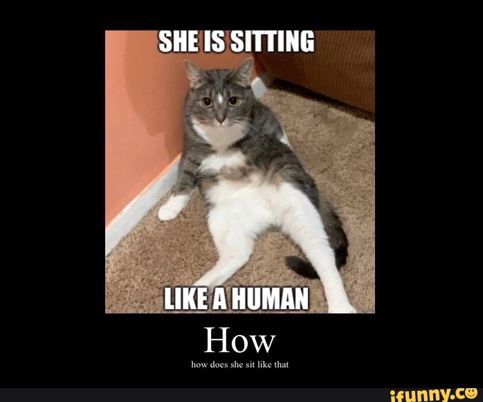 SHE IS SITTING
LIKE A HUMAN How