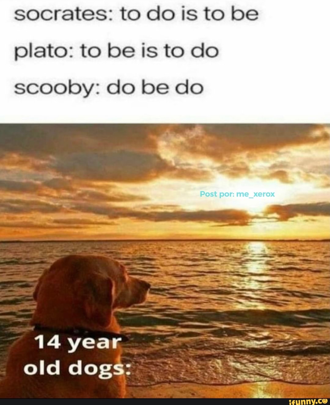 socrates: to do is to be
plato: to be is to do
scooby: do be do
14 year old dogs:
