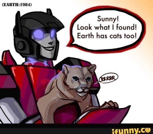 (EARTH: 1984)
Sunny!
Look what I found!
Earth has cats too!