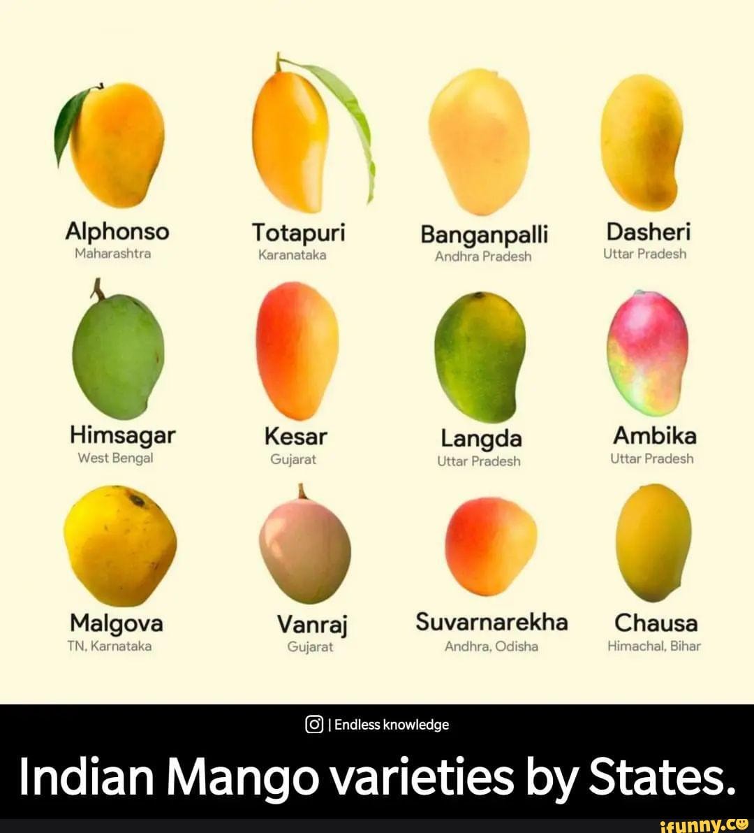 Gyjarat Memes Best Collection Of Funny Gyjarat Pictures On IFunny