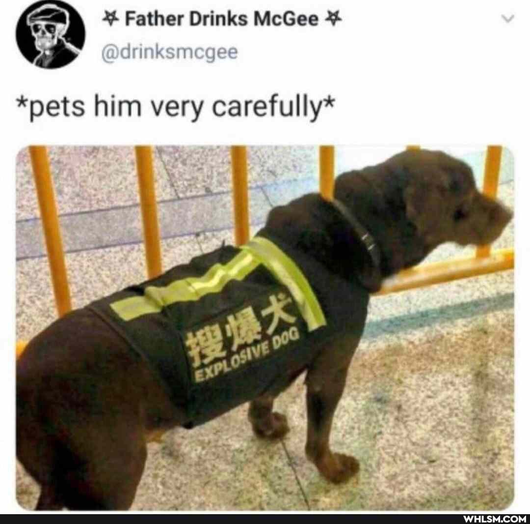 Father Drinks McGee
GD odrinksmoge
*pets him very carefully*