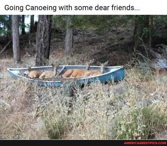 Going Canoeing with some dear friends...