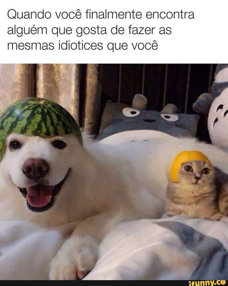 Quando você finalmente encontra alguém que gosta de fazer as mesmas idiotices que você