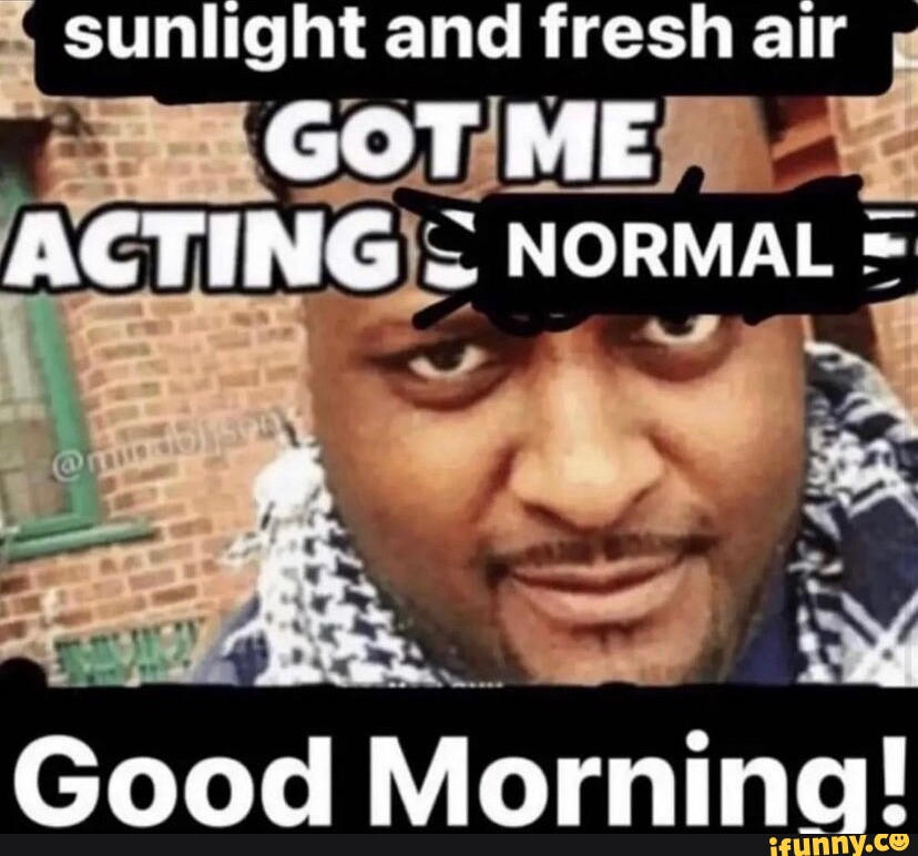 sunlight-and-fresh-air-got-me-acting-normal-good-mornina-ifunny