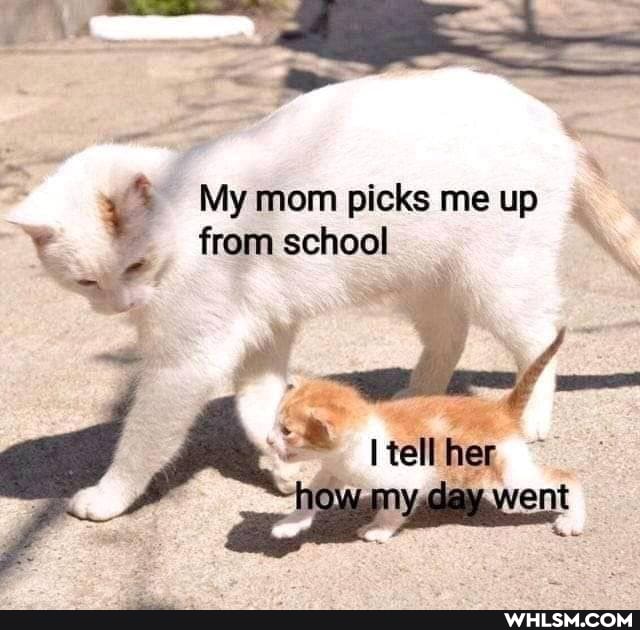 " >
My mom picks me up from school \
a 'tel her