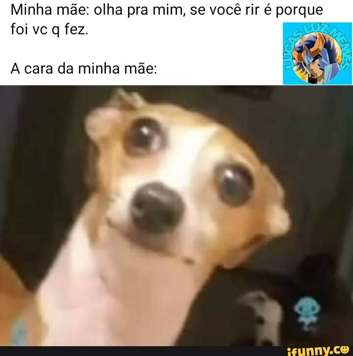 Minha mãe: olha pra mim, se você rir é porque foi vc q fez.
A cara da minha mãe: