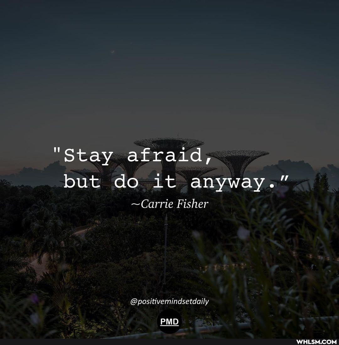 "Stay afraid, but do it anyway."
~Carrie Fisher
@positivemindsetdaily