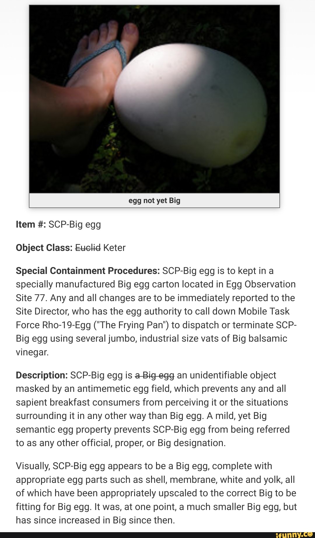 Scp big egg