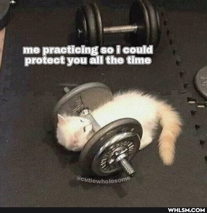 me practicing so i could protect you all the time