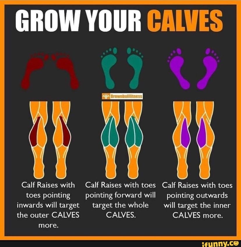 GROW YOUR CALVES Calf Raises with Calf Raises with toes Calf Raises