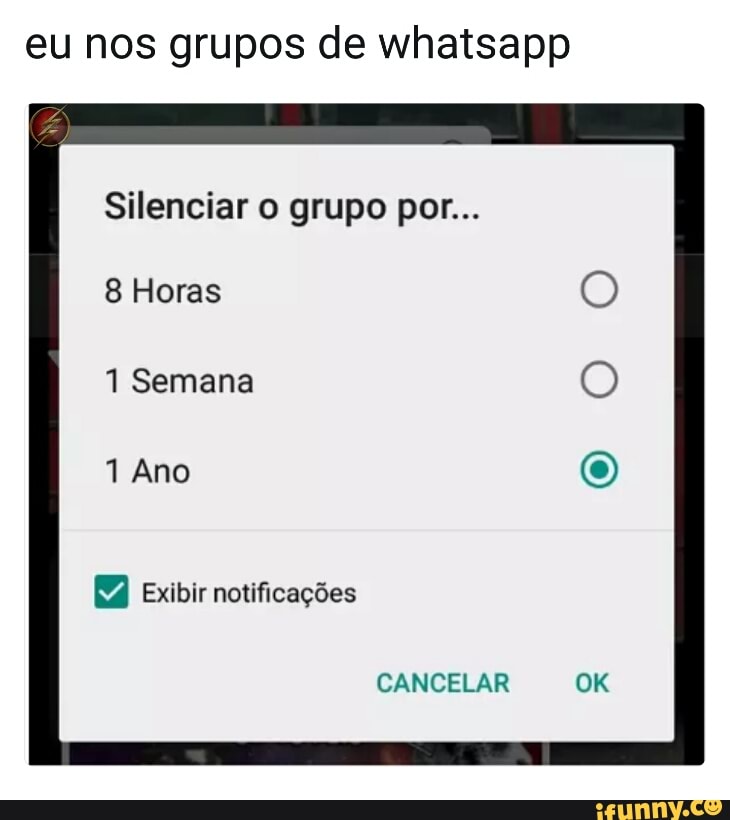 eu nos grupos de whatsapp
Silenciar o grupo por...
8 Horas
1 Semana
1 Ano
Exibir notificações