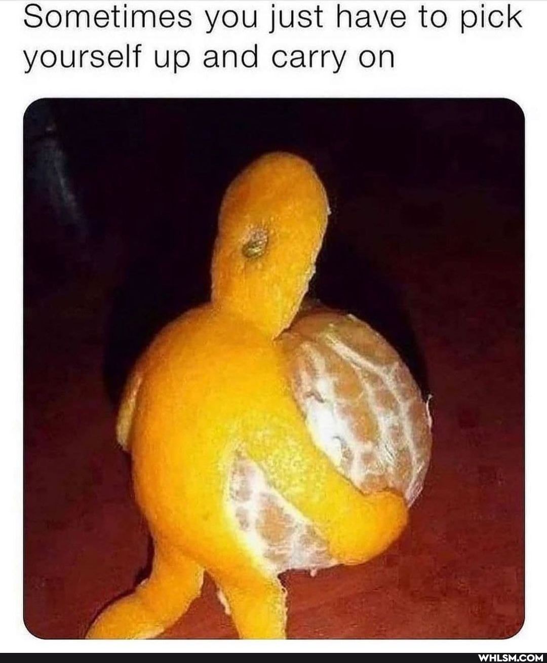 Sometimes you just have to pick yourself up and carry on