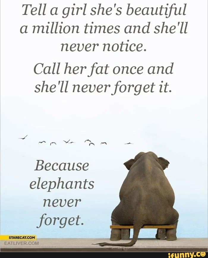 Tell a
girl she's beautiful
a million times and she'll
never
notice.
Call her fat once and
she'll never forget it.
Because
elephants
never
forget.
STARECAT.COM
EATLIVER.COM