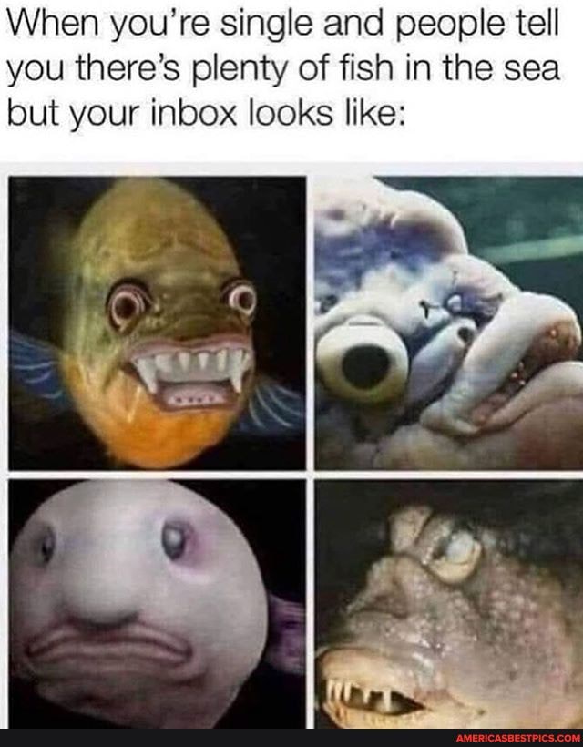 When you're single and people tell you there's plenty of fish in the sea but your inbox looks like: