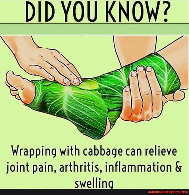 DID YOU KNOW? Wrapping with cabbage can relieve joint pain, arthritis