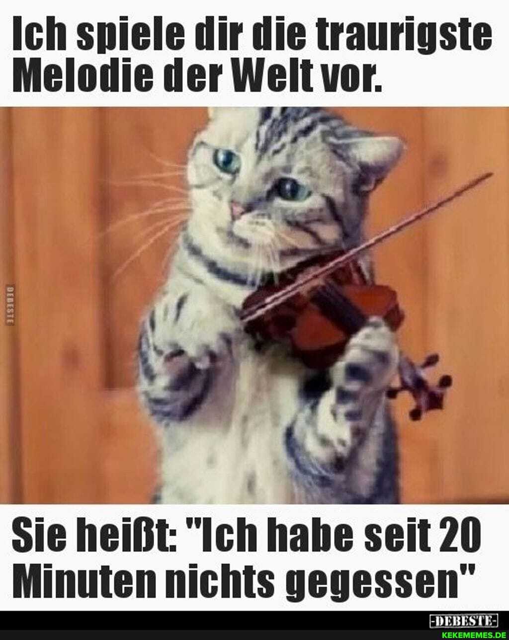 Ich spiele dir die traurigste
Melodie der Welt vor.
Sie heißt: "Ich habe seit 20
Minuten nichts gegessen"
