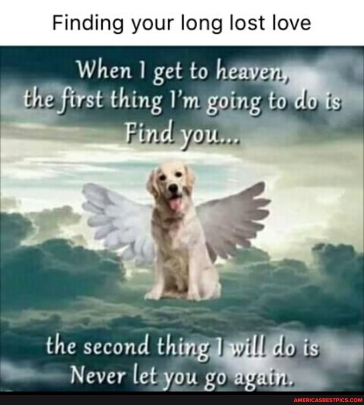 Finding your long lost love
When get to heayen, the first thing I'm going to do
you
the second thin willl
Never let you go