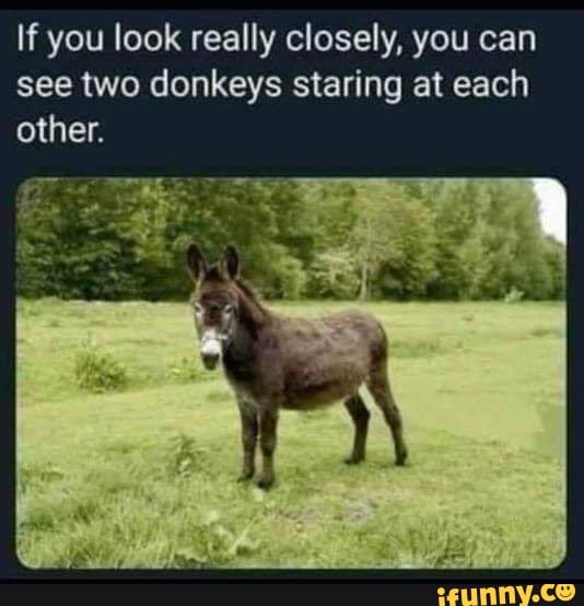 If you look really closely, you can see two donkeys ...