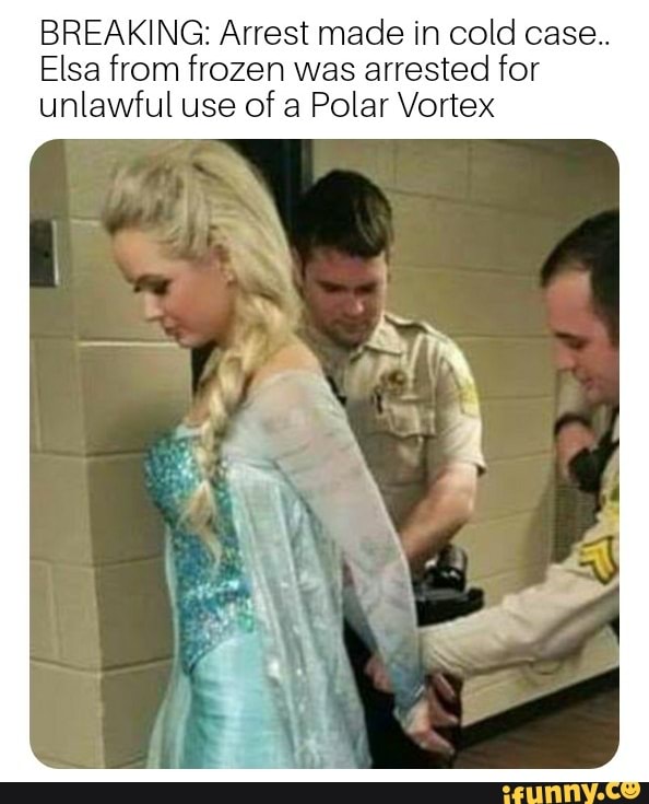 Breaking Arrest Made In Cold Case“ Elsa From Frozen Was Arrested For Unlawful Use Of A Polar