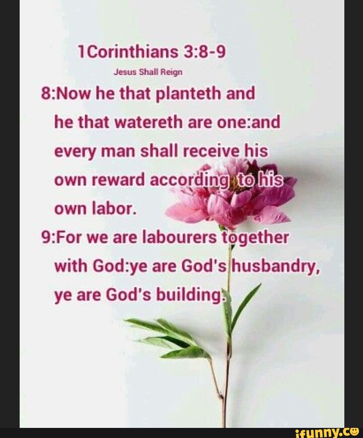 Corinthians Jesus Shall Reign &Now he that planteth and he that ...