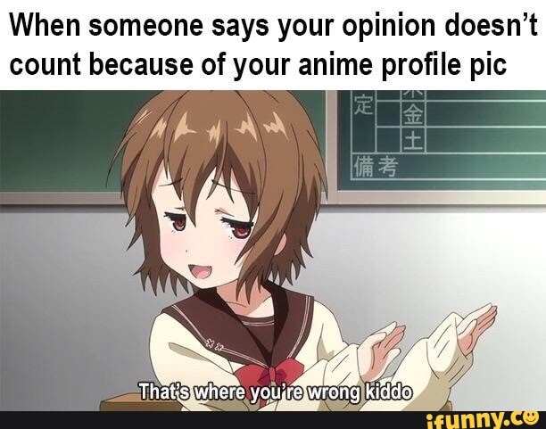 Why can't people have an opinion if they have an anime profile