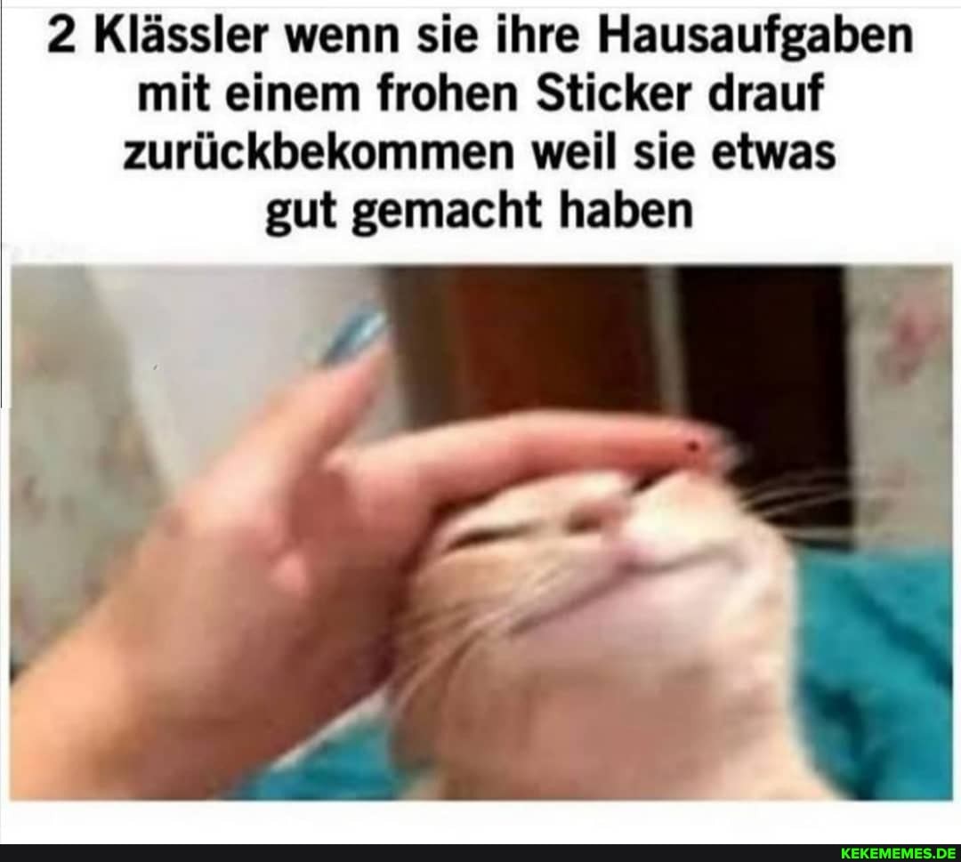 2 Klässler wenn sie ihre Hausaufgaben mit einem frohen Sticker drauf zurückbekommen weil sie etwas gut gemacht haben