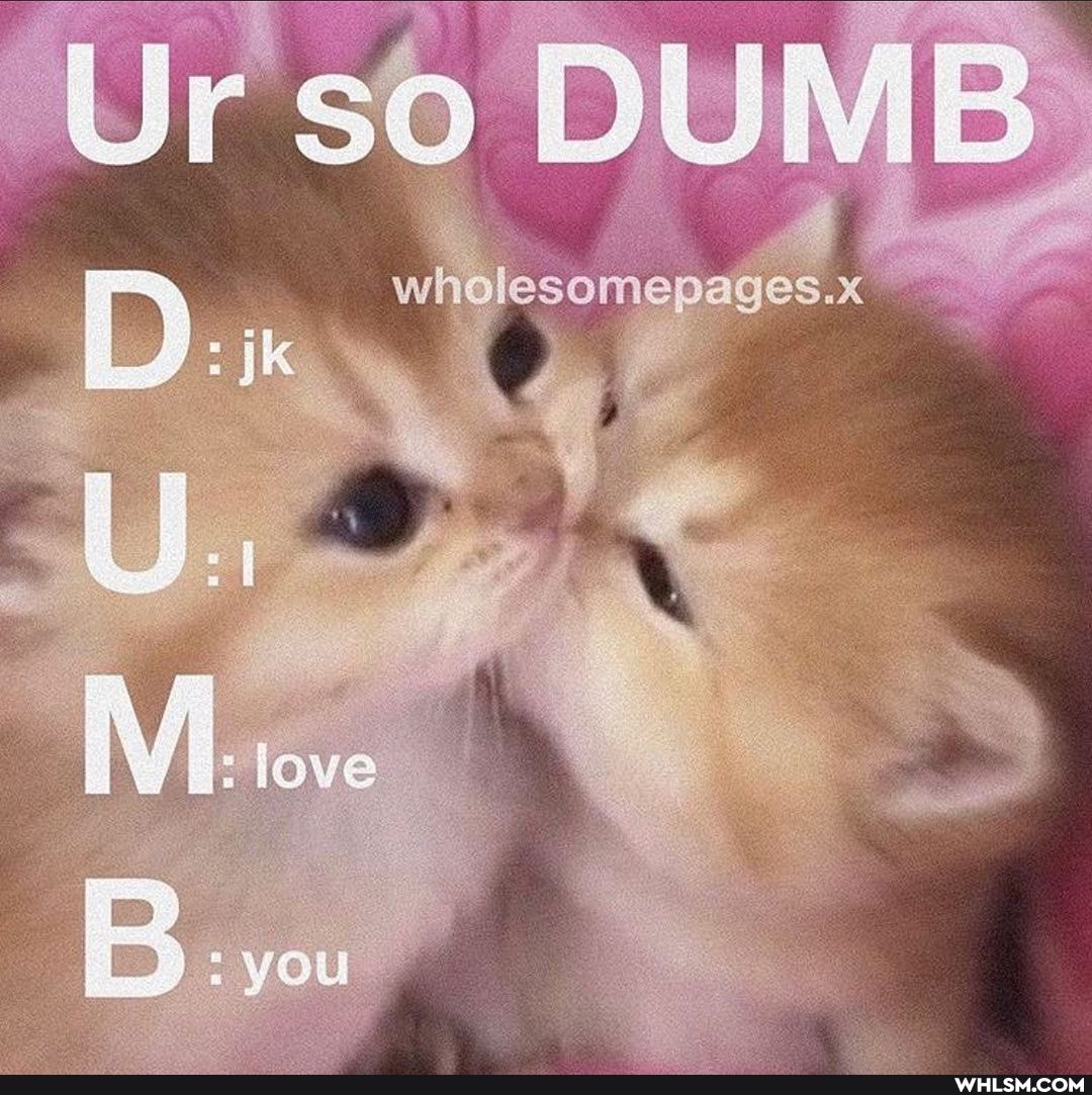 Ur so
D) ix wholesomepages.x ix