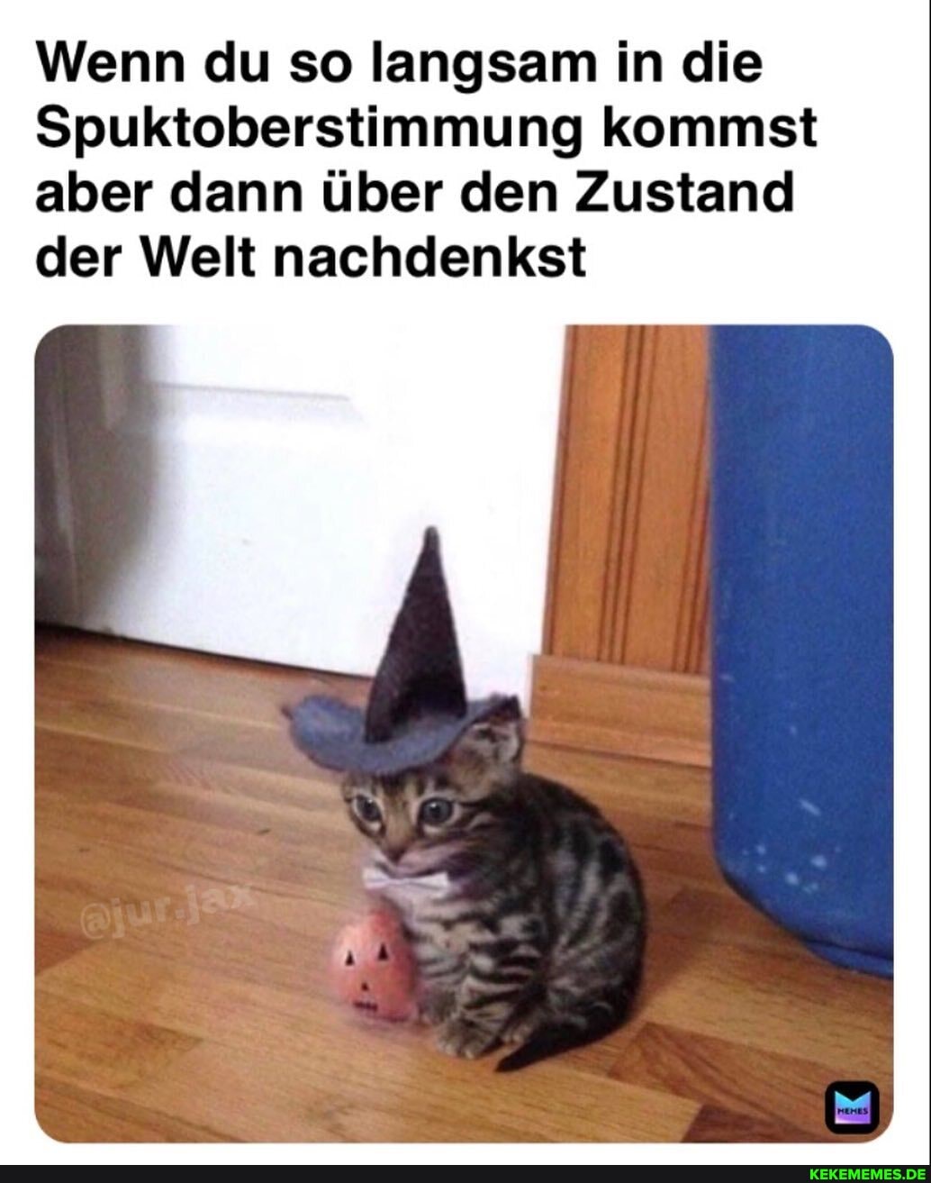 Wenn du so langsam in die
Spuktoberstimmung kommst aber dann über den Zustand
der Welt nachdenkst