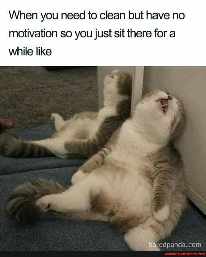 When you need to clean but have no motivation so you just sit there for a while like