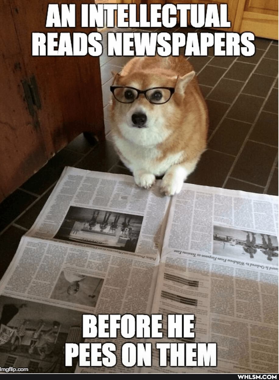 AN INTELLECTUAL READS NEWSPAPERS
BEFORE HE PEES ON THEM