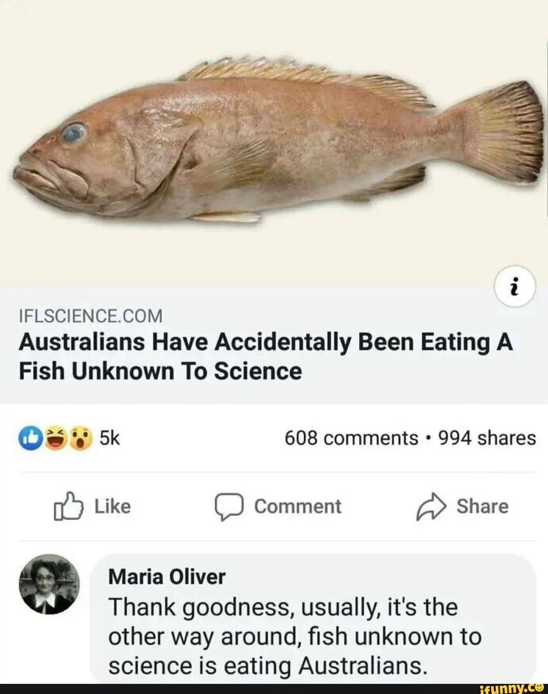 Australians Have Accidentally Been Eating A Fish Unknown To Science Os