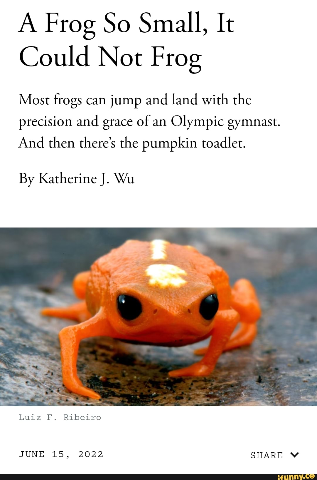 A Frog So Small, It Could Not Frog Most frogs can jump and land with ...