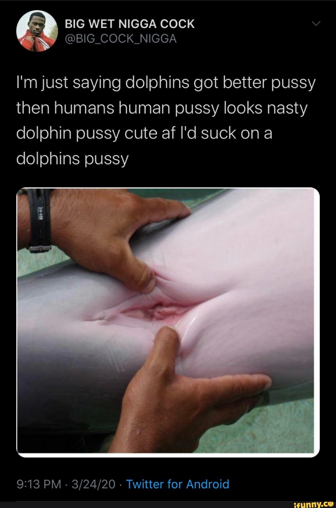 сколько длится оргазм у дельфина фото 92