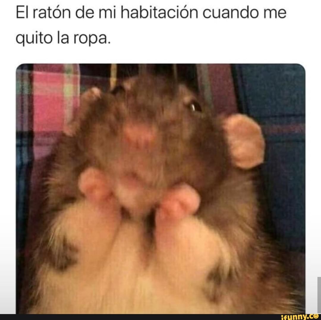 El ratón de mi habitación cuando me
quito la ropa.