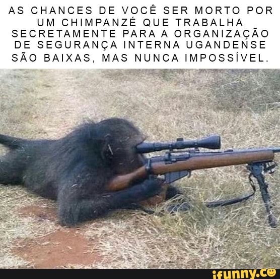 AS CHANCES DE VOCÊ SER MORTO POR UM CHIMPANZÉ QUE TRABALHA SECRETAMENTE PARA A ORGANIZAÇÃO DE SEGURANÇA INTERNA UGANDENSE SÃO BAIXAS, MAS NUNCA IMPOSSÍVEL.