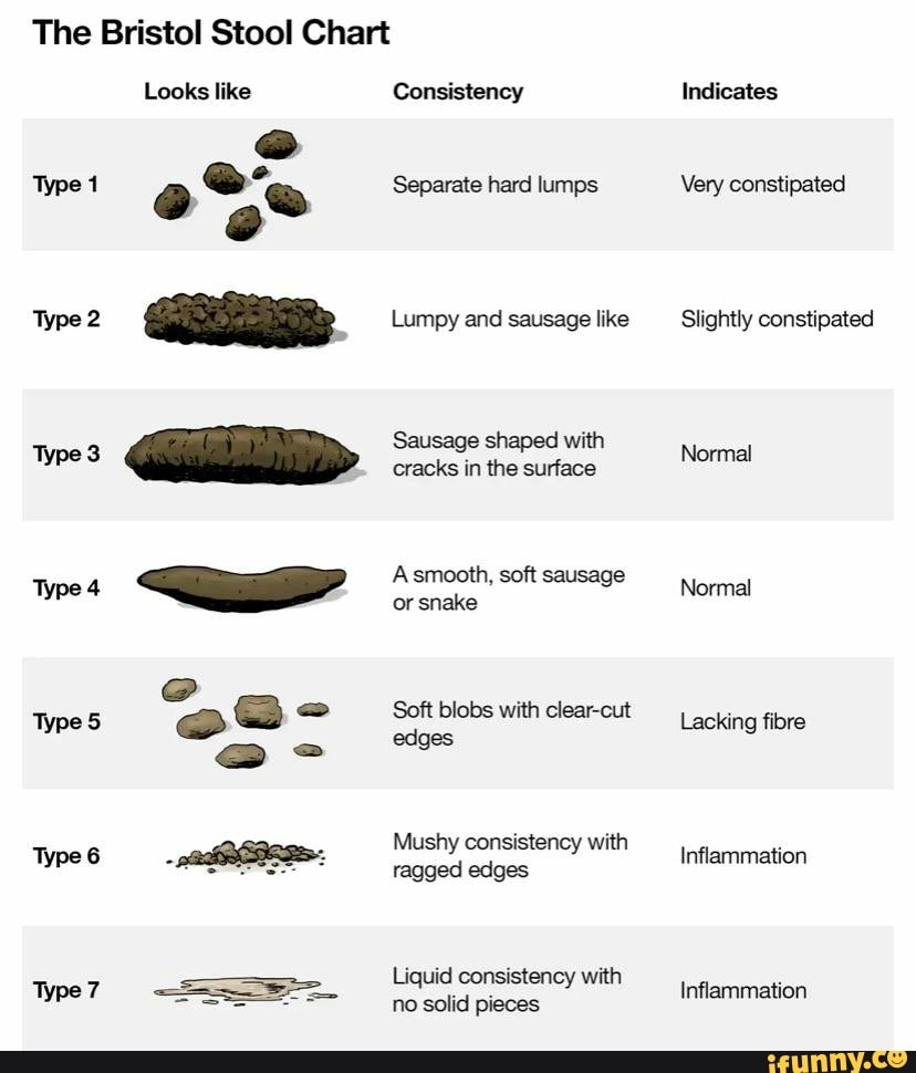 The Bristol Stool Chart Type 2 Type 3 Type 4 Type 5 Type 6 Type 7 Looks ...