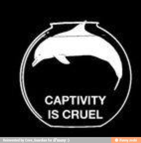 CAPTIVITY IS CRUEL