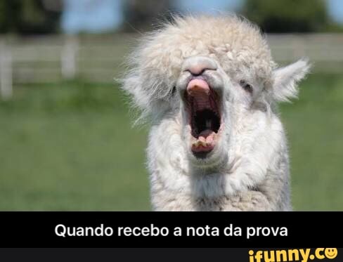 Quando recebo a nota da prova - Quando recebo a nota da prova