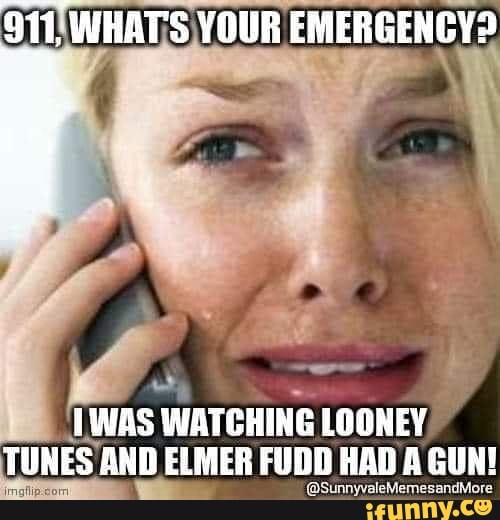 TWAS WATCHING LOONEY
TUNES AND ELMER FUDD HAD A GUN!