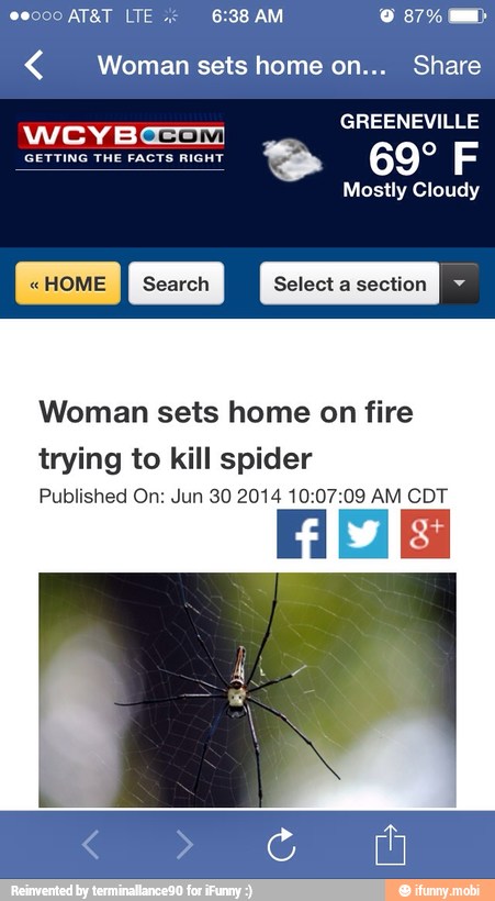 Woman sets home on... Share
Woman sets home on fire
trying to kill spider
Published On: Jun 30 2014 10:07:09 AM CDT