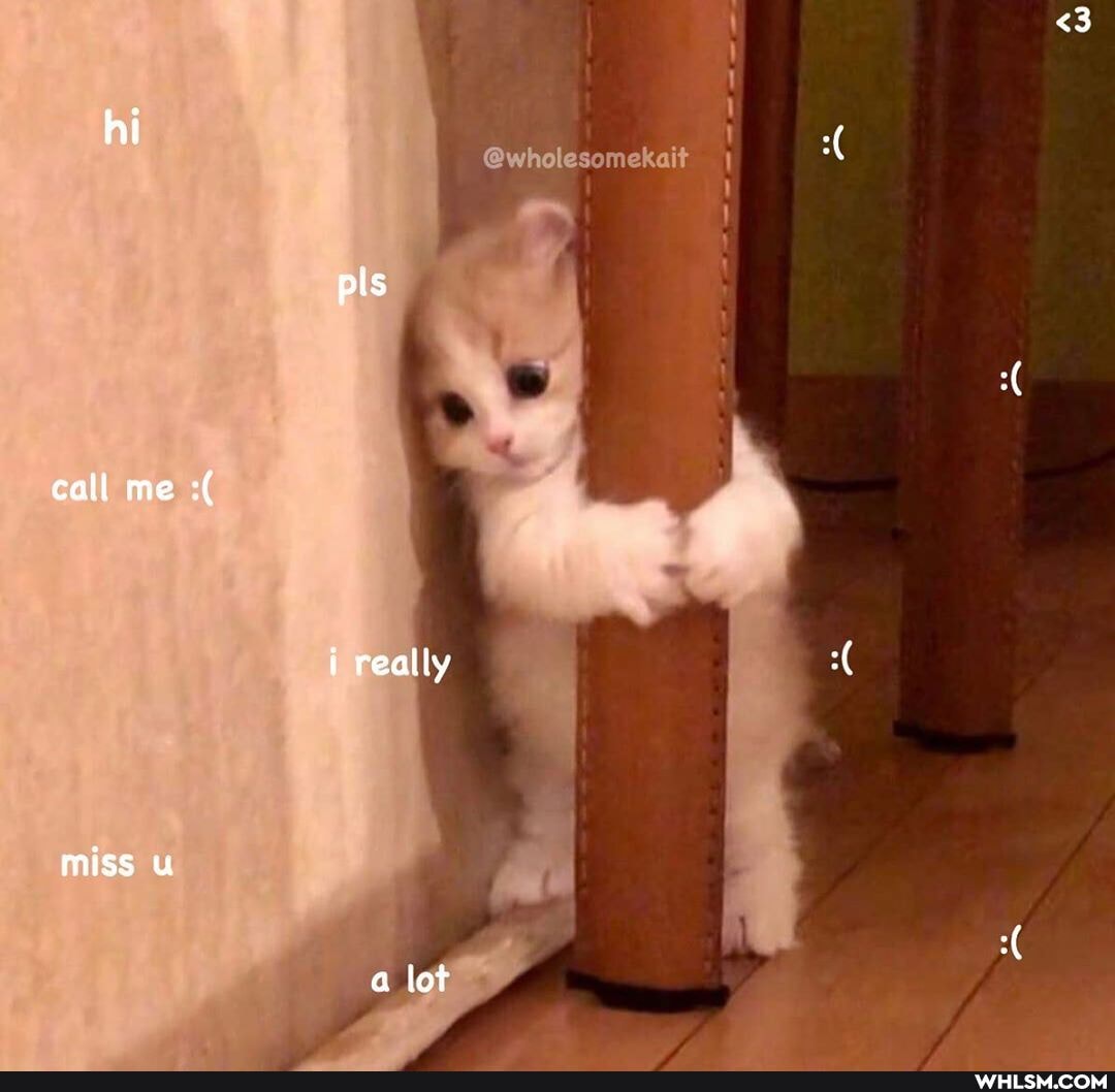 hi
@wholesomekait
als
call me
really
miss u
<3