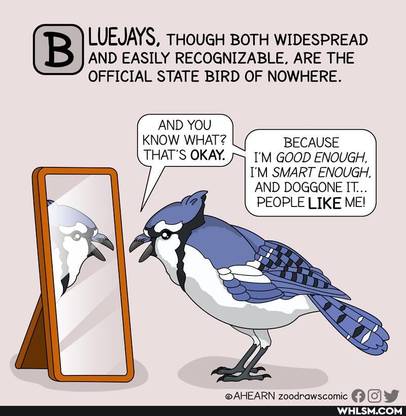 AND EASILY RECOGNIZABLE, ARE THE OFFICIAL STATE BIRD OF NOWHERE.
LUEJAYS, THOUGH BOTH WIDESPREAD
AND YOU KNOW WHAT? BECAUSE THAT'S OKAY. I'M GOOD ENOUGH,
I'M SMART ENOUGH,
AND DOGGONE IT...
PEOPLE LIKE ME!
ALICADAI