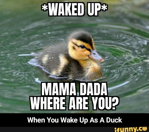 *WAKED UP*
MAMA DADA WHERE ARE YOU?
When You Wake Up As A Duck - When You Wake Up As A Duck