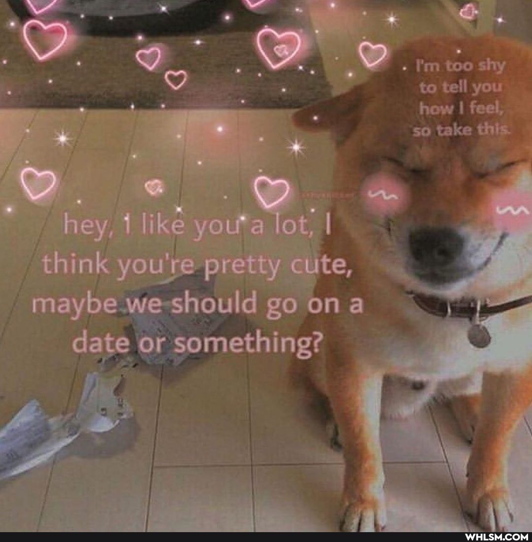 I'm too shy
to tell you hew I feel,
so take this.